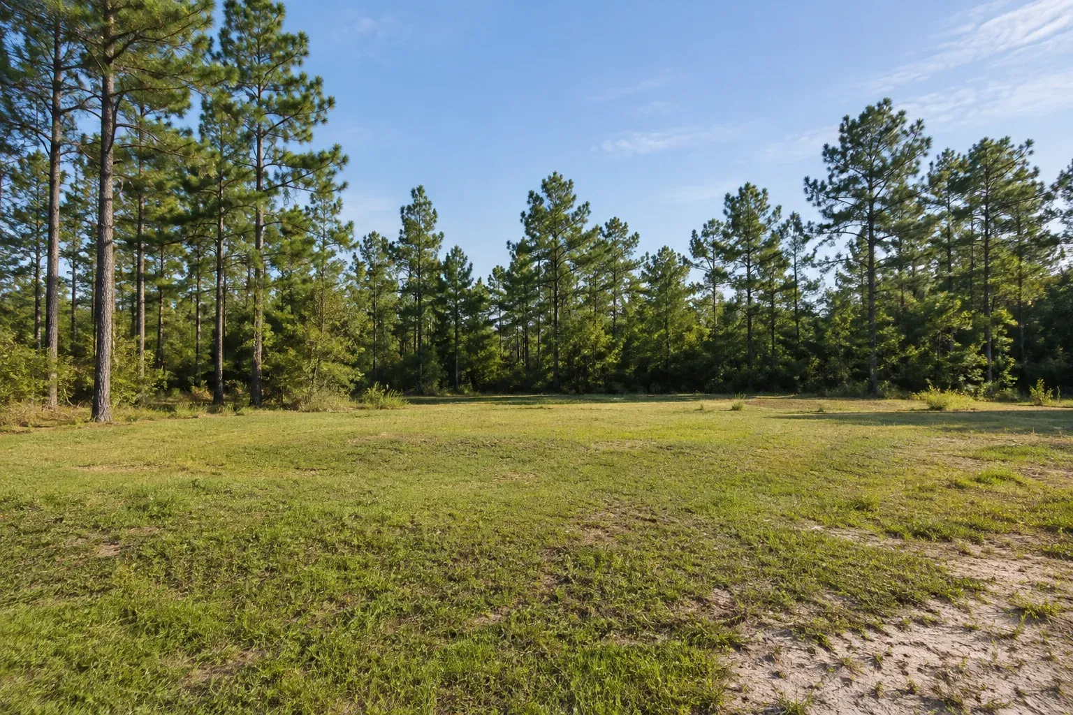 Open residential lot with gently varying ground and mature trees, illustrating a setting for house-plan comparison.
